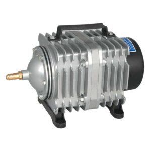 import placeholder for 56519